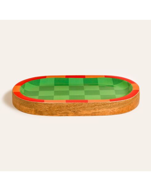 Plateau pour aliments vert - 22 x 14 x 2.5 cm