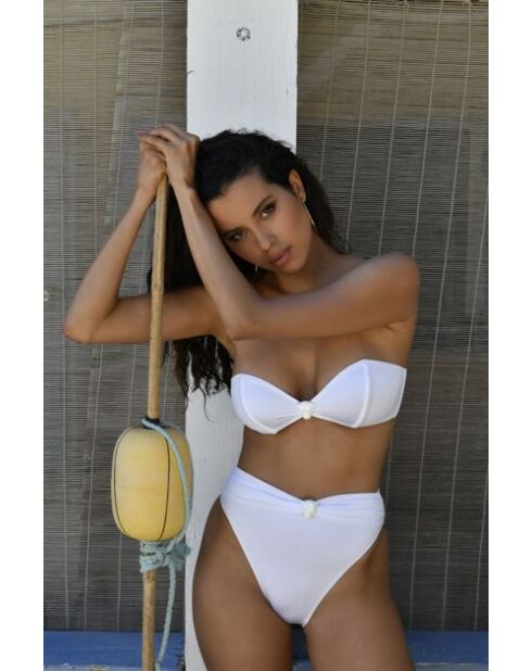 Bragas blancas felinas