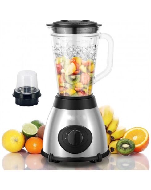 Roestvrijstalen blender met transparante en zwarte grinder - 500w
