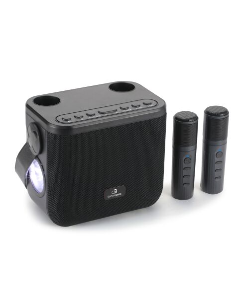 Enceinte Karaoké Portable Sans Fil avec 2 Micros noire