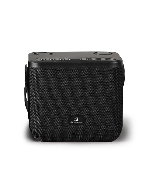 Enceinte Karaoké Portable Sans Fil avec 2 Micros noire