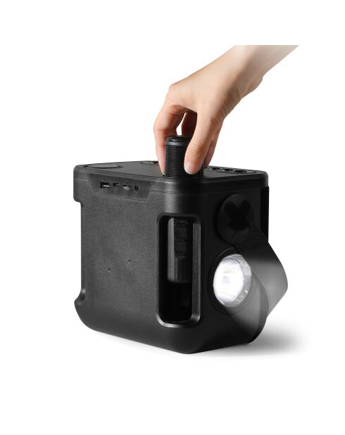 Enceinte Karaoké Portable Sans Fil avec 2 Micros noire