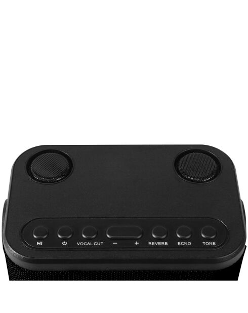 Enceinte Karaoké Portable Sans Fil avec 2 Micros noire