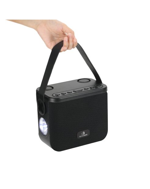 Enceinte Karaoké Portable Sans Fil avec 2 Micros noire