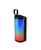 Enceinte LED Sans Fil noire