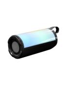 Enceinte LED Sans Fil noire