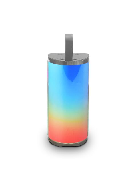 Enceinte LED Sans Fil grise