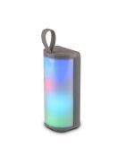 Enceinte LED Sans Fil grise