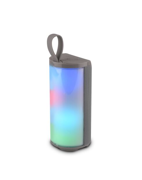 Enceinte LED Sans Fil grise