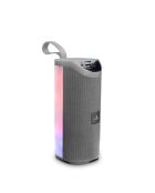 Enceinte LED Sans Fil grise