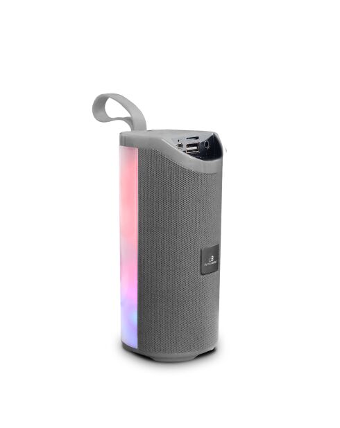 Enceinte LED Sans Fil grise