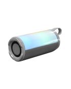 Enceinte LED Sans Fil grise