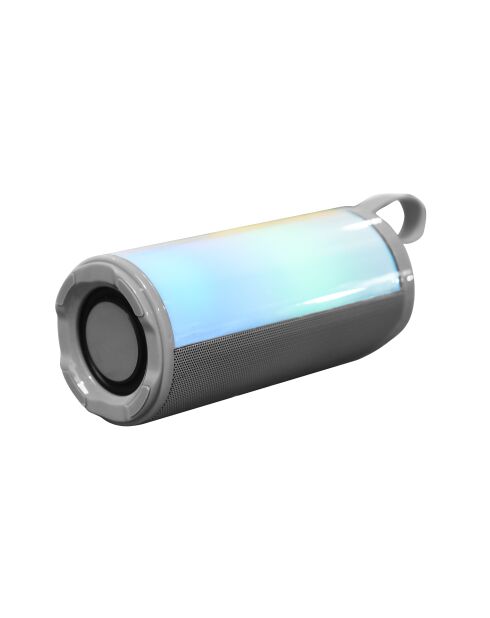 Enceinte LED Sans Fil grise
