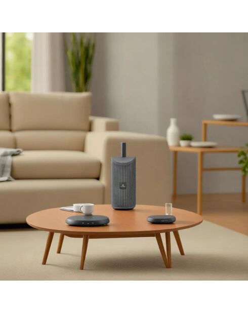 Enceinte LED Sans Fil grise
