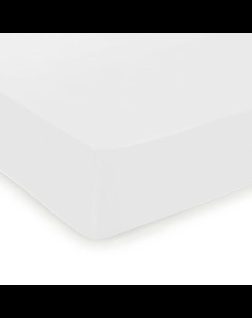 Hoeslaken van katoensatijn - Uni Blanc 01