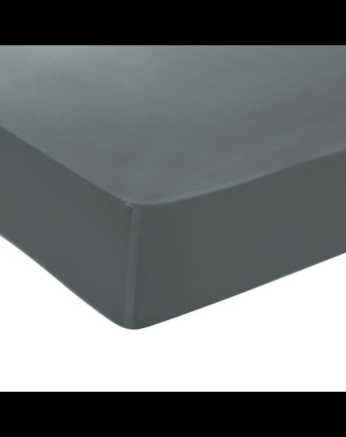 Spannbetttuch aus Baumwollsatin - Uni Gris 02