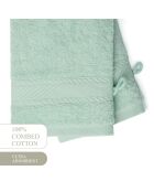 Gant de toilette coton peigné - Nuage Menthe - 2x(15x21 cm)