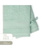 Gant de toilette coton peigné - Nuage Menthe - 2x(15x21 cm)