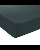 Spannbetttuch aus Baumwollsatin - Uni Gris 03
