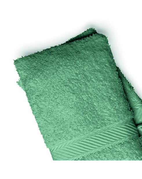 Gant de toilette coton peigné - Nuage Vert bouteille - 2x(15x21 cm)