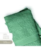 Gant de toilette coton peigné - Nuage Vert bouteille - 2x(15x21 cm)