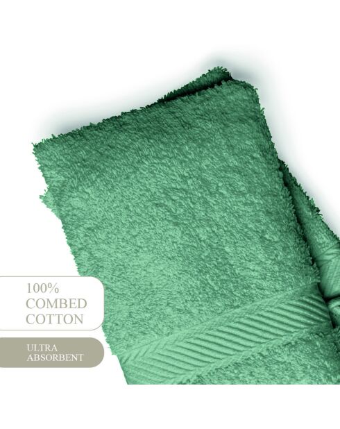 Gant de toilette coton peigné - Nuage Vert bouteille - 2x(15x21 cm)