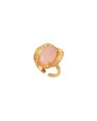 Swann goud/rosegouden ring
