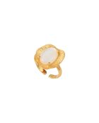 Swann goud/witgouden ring