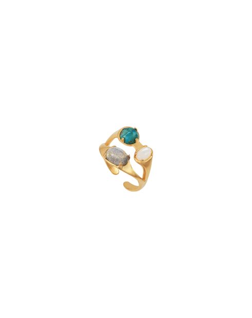 Cassandra-ring verguld met fijn goud 3 micron goud/veelkleurig