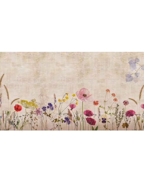Mehrfarbige Panorama-Tapete von Valensole Gardens - 480x260 cm