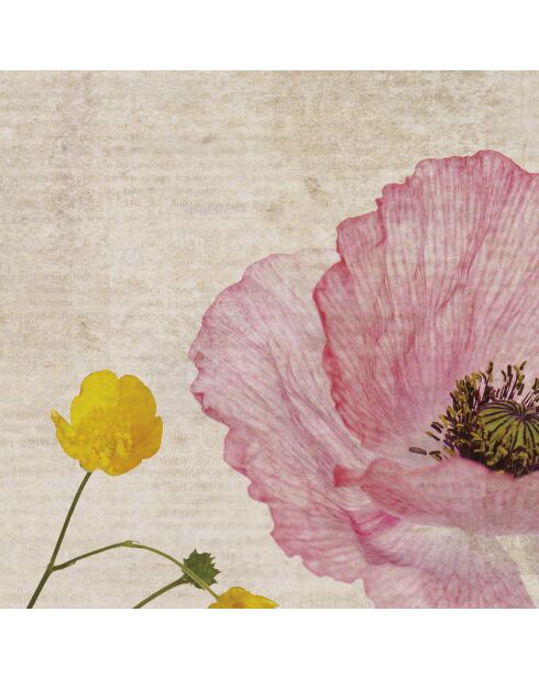 Mehrfarbige Panorama-Tapete von Valensole Gardens - 480x260 cm