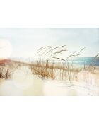 Papel pintado panorámico Dune multicolor - 432x300 cm