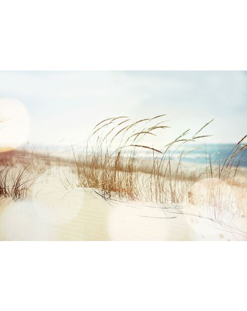 Papel pintado panorámico Dune multicolor - 432x300 cm