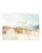 Papel pintado panorámico Dune multicolor - 432x300 cm