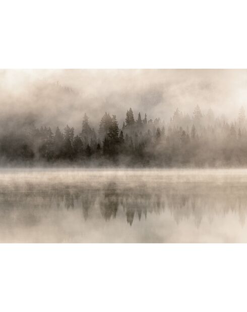Mistery Lake beigefarbene Panorama-Tapete - 384x270 cm