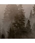Mistery Lake beigefarbene Panorama-Tapete - 384x270 cm