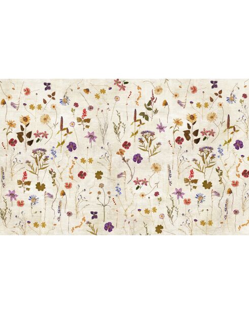 Herbarium panoramabehang veelkleurig - 432x270 cm