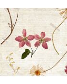 Herbarium panoramabehang veelkleurig - 432x270 cm