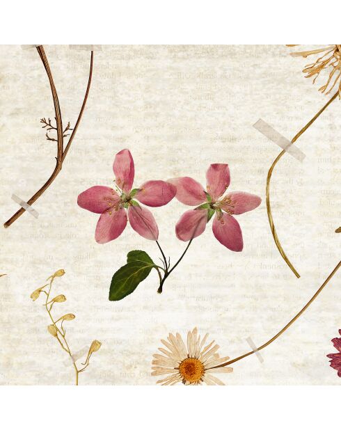 Herbarium panoramabehang veelkleurig - 432x270 cm