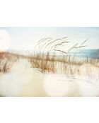 Dune panoramabehang veelkleurig - 384x270 cm