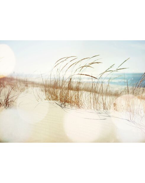Dune panoramabehang veelkleurig - 384x270 cm