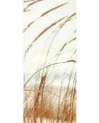 Dune panoramabehang veelkleurig - 384x270 cm