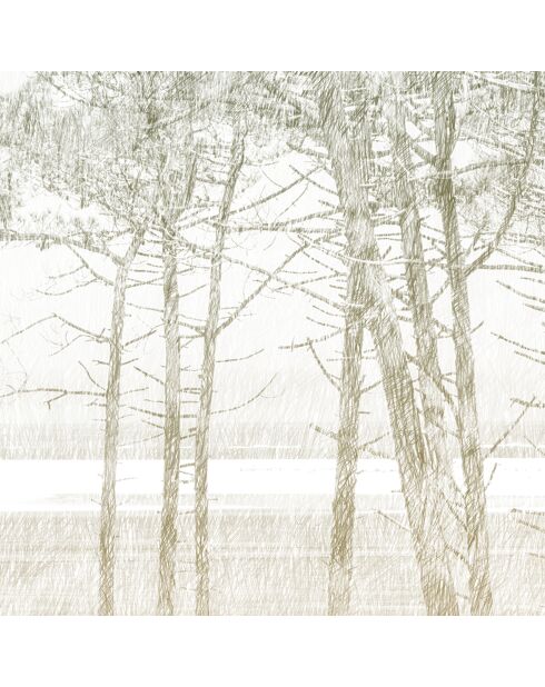 Panoramisch behang Les Pins veelkleurig - 384x280 cm