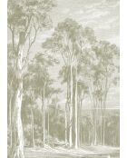 Panoramisch behang Eucalyptusbomen salie - 192x270 cm