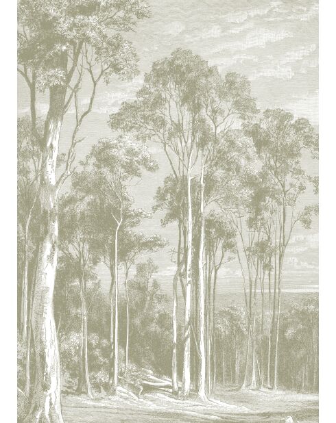 Panoramisch behang Eucalyptusbomen salie - 192x270 cm
