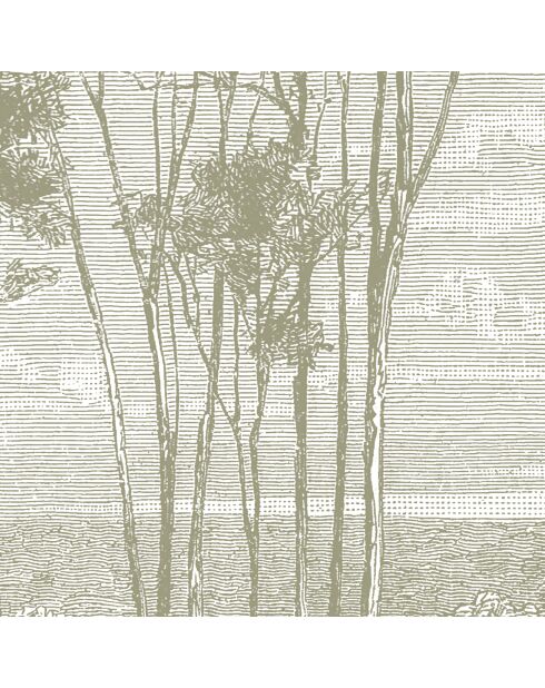 Panoramisch behang Eucalyptusbomen salie - 192x270 cm