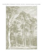 Panoramisch behang Eucalyptusbomen salie - 192x270 cm
