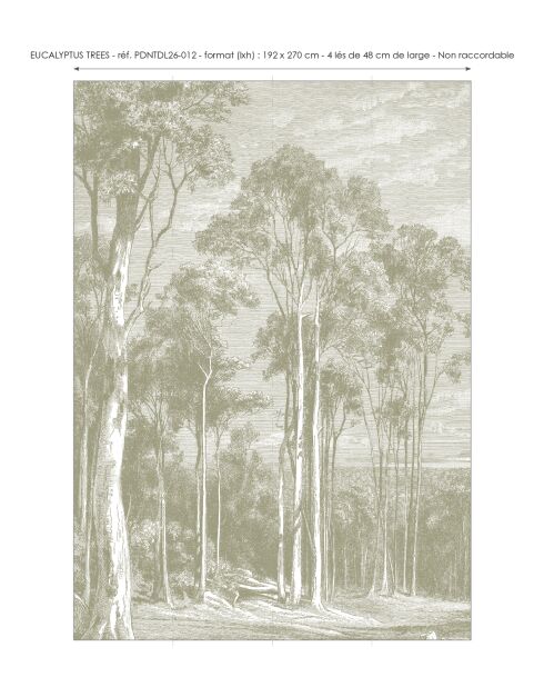 Panoramisch behang Eucalyptusbomen salie - 192x270 cm
