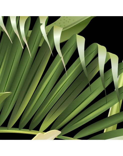 Panoramisch behang Guyana groen - 384x300 cm
