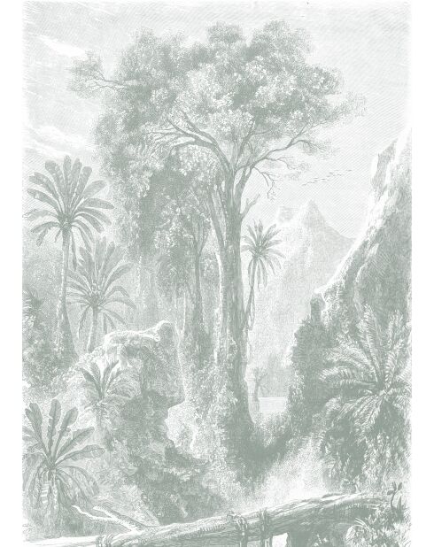 Carta da parati panoramica con licheni della giungla del Madagascar - 192x270 cm